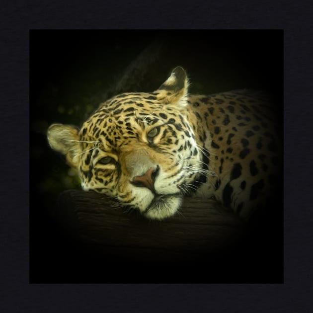 Jaguar by Guardi